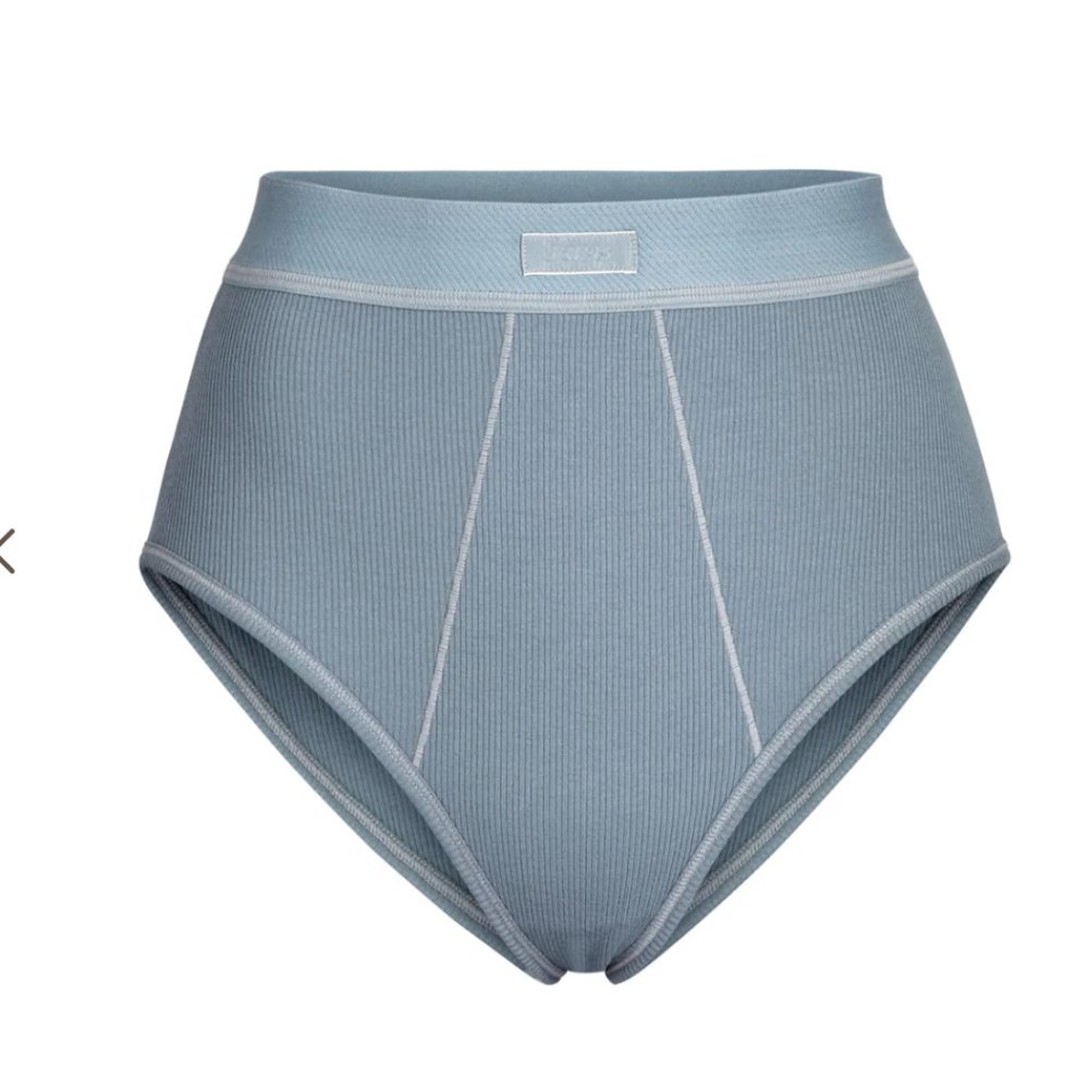 Skims - Cotton Rib Brief in Kyanite in Size XL